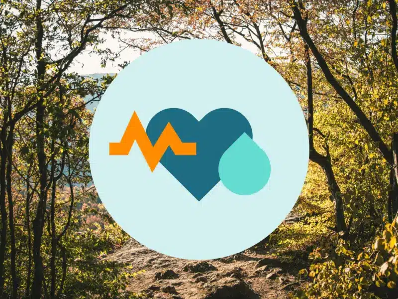 Feel good in the forest: during and after cancer